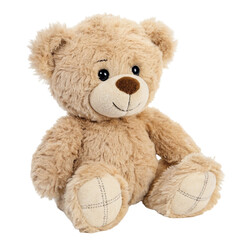 teddy bear isolated on white