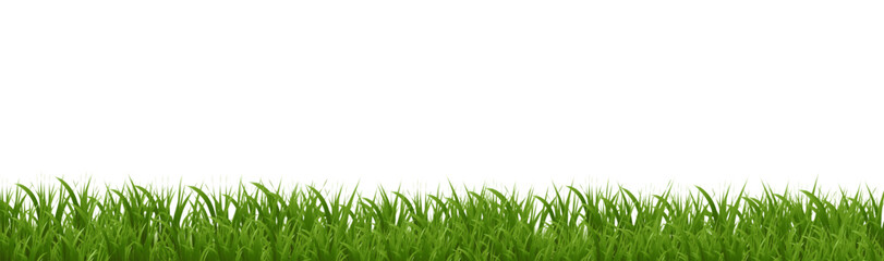 Obraz premium Green Grass Border Isolated White Poster