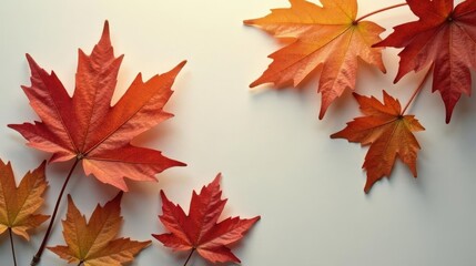 Obraz premium Autumnal foliage arrangement on a neutral backdrop featuring vibrant red and orange leaves, showcasing the beauty of fall's colorful display
