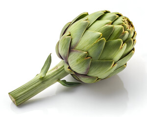 whole green artichoke on white background
