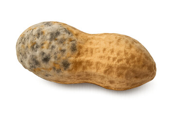 Moldy Peanut Isolated for Educational or Awareness Use