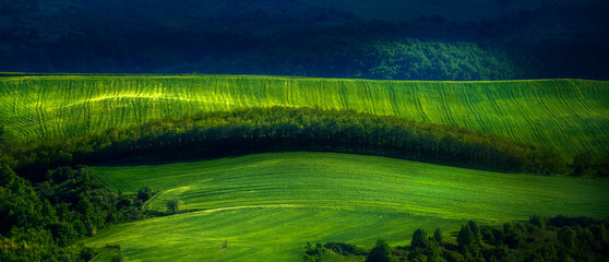 green field 