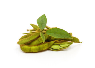 Fototapeta premium Green soybean pods.