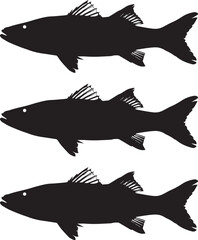 Premium vector. Silhouette snook fish on white background vector illustration. 