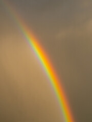 rainbow at sunset during springtime rain