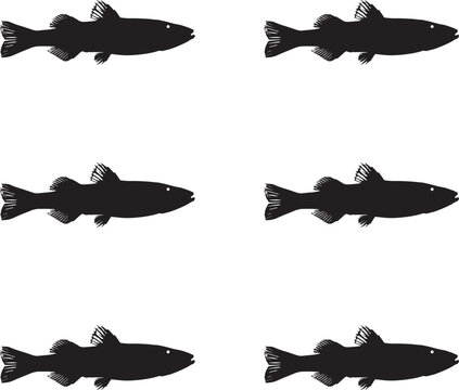 Premium vector silhouette Stickleback fish on white background. 