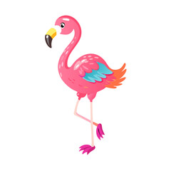 Pink Flamingo Tropical Bird