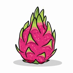 Dragon fruit isolated on white