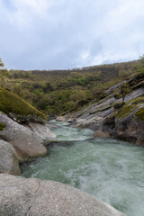 River water flowing through rocks and moss in green forested valley