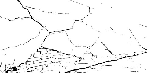 Obraz premium Closeup of dry fissure ground. White dried and cracked ground earth background.Gray crack on earth texture. erosion. 