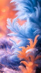 abstract colourful background with feather