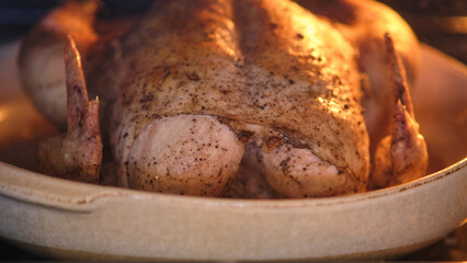 Whole roasted chicken with seasoning in a ceramic baking dish inside an oven. Close-up food photography of homemade poultry meal preparation