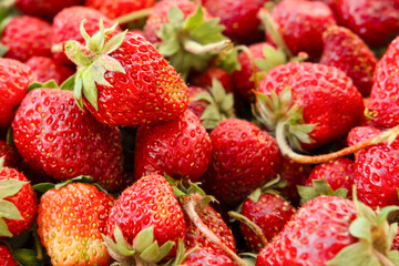 Background ripe juicy strawberries close-up