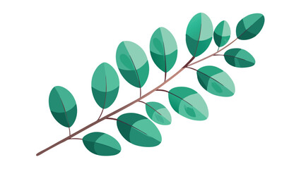 Obraz premium Artistic vector illustration of a eucalyptus branch with green oval shaped leaves on white background