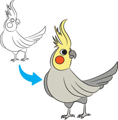 Cute Cockatiel Cartoon Outline and Coloring Illustration Isolated on White Background