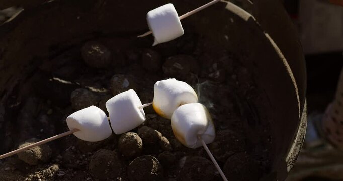 Marshmallows roasting on a grill, turning golden brown over glowing coals.