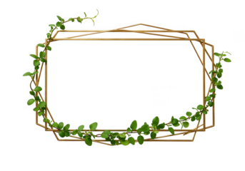 Geometric frame with leaves isolated on transparent background