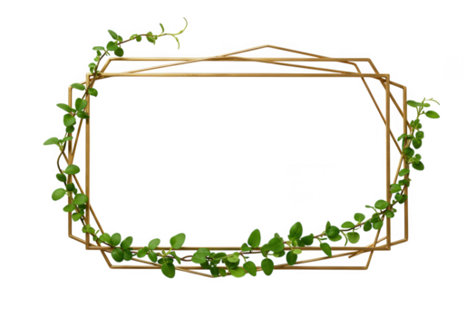 Geometric frame with leaves isolated on transparent background