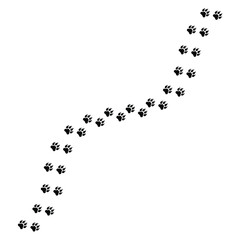Paw Print Trail Illustration | Pet Paw Path Clipart Design