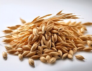 Obraz premium oat with white background selective focus close up shot