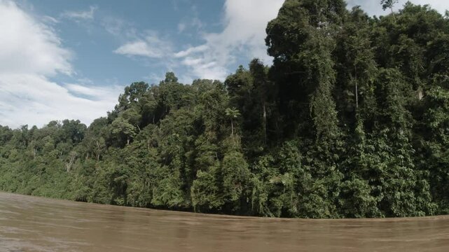 Leuser Rainforest and River Aceh, Indonesia