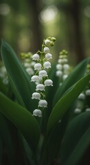 Obraz premium Lily of the Valley: Serene Forest Bloom