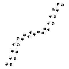 Paw Print Trail Illustration | Pet Paw Path Clipart Design