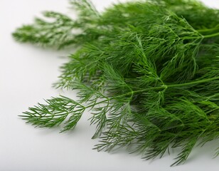close up of green dill leaves on a white surface