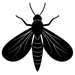 Black Silhouette of a Caddisfly Insect Illustration