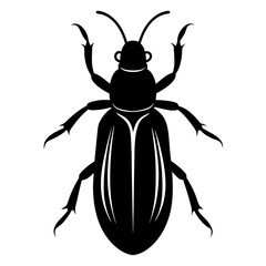 Black Beetle Silhouette Vector Illustration Graphic