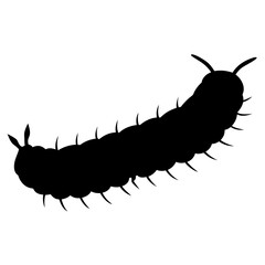 Black Silhouette of a Spiky Caterpillar Crawling