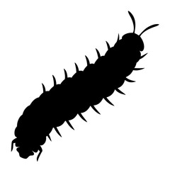 Black Silhouette of a Caterpillar Crawling