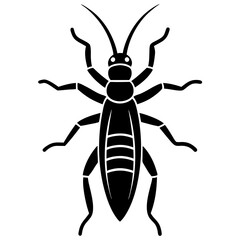 Black and White Stonefly Insect Illustration
