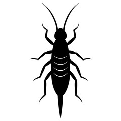 Black Silhouette of an Earwig Insect Illustration