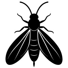 Black Silhouette of a Large Insect with Wings