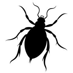 Black Beetle Silhouette Illustration Graphic Design