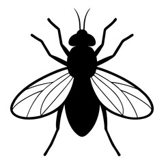 Black and White Silhouette of a House Fly Insect