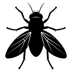 Black Silhouette of a House Fly Detailed Illustration