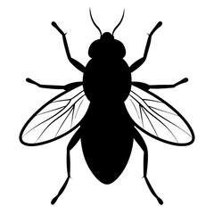 Black Silhouette of a House Fly Insect Vector Illustration