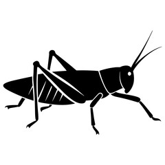 Black Silhouette of a Grasshopper Insect Icon