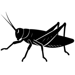 Black Silhouette of a Grasshopper Insect Illustration