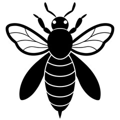 Simple Black and White Honeybee Illustration