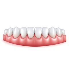 Obraz premium Dental image front view white background
