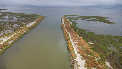  An aerial capture of flamingos scattered across shallow waters, gracefully surrounding a small, lush islet in tranquil formation.