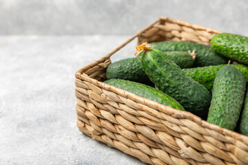 Cucumber on wooden background. Slice of cucumber on background. Fresh organic green cucumbers gherkin. Vegan. Salad ingredient. Farm vegetables. Cut vegetables with knife. Space for text. Copy space