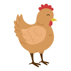 Cute hen in flat style on white background. Hand drawn Chicken vector illustration in children's style. Farm animal concept