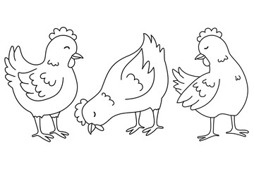 Handdrawn Hen Outline Set. Horizontal vector illustration for a coloring book