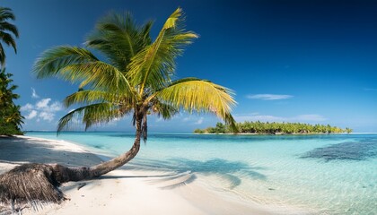 tropical island with coconut palm trees