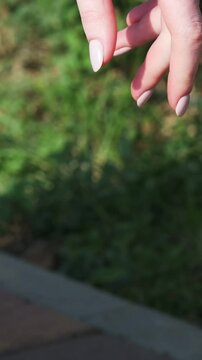 Girl unfolds a collapsible silicone bowl for animals and puts it down. Close-up. Traveling with animals. Walking on a sunny day in a city park. Care concept, animal life
