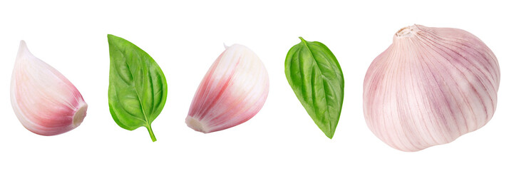 Collection of garlic and basil on isolated white background. Whole and cloves